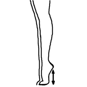 max heel height